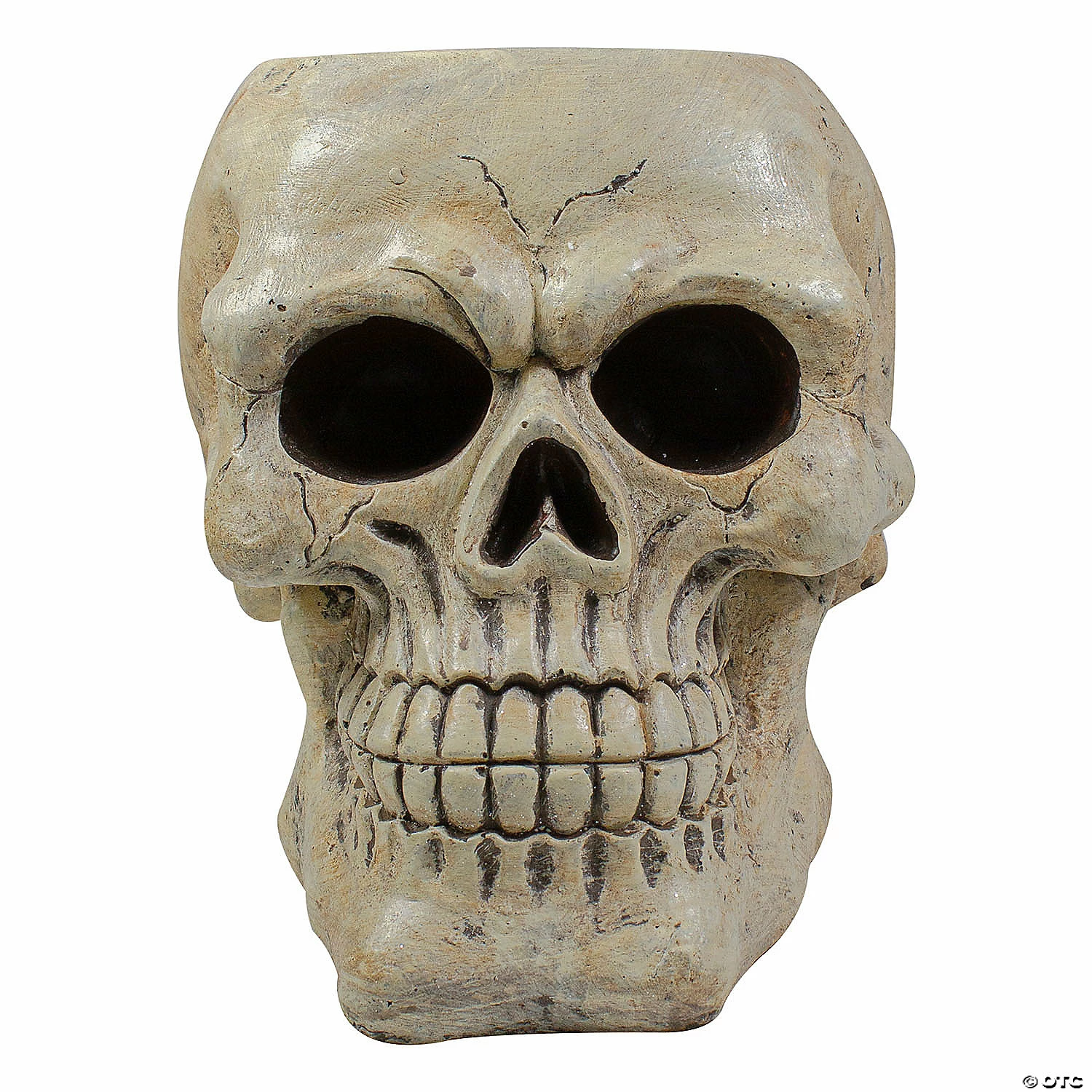 11" Ivory and Black Halloween Skull Tabletop Decoration 3 11" Ivory and Black Halloween Skull Tabletop Decoration - Image 3