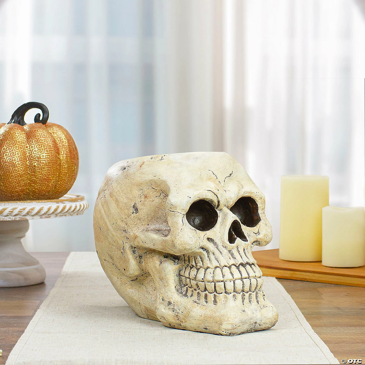 11" Ivory and Black Halloween Skull Tabletop Decoration 1 11" Ivory and Black Halloween Skull Tabletop Decoration