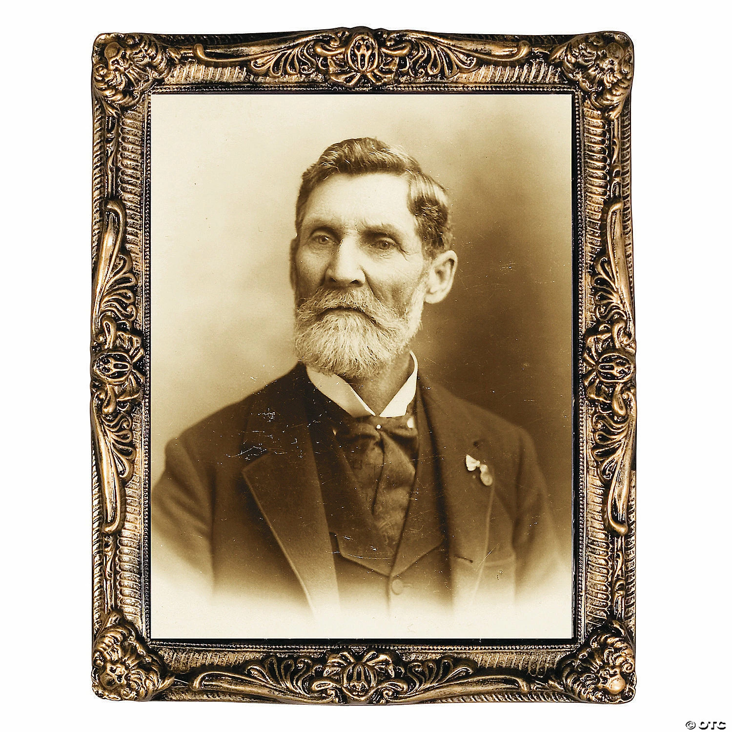 17" x 21" Pappy Fungus Holograph 2 17" x 21" Pappy Fungus Holograph - Image 2