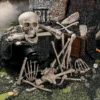 Bag of Bones Halloween Decoration