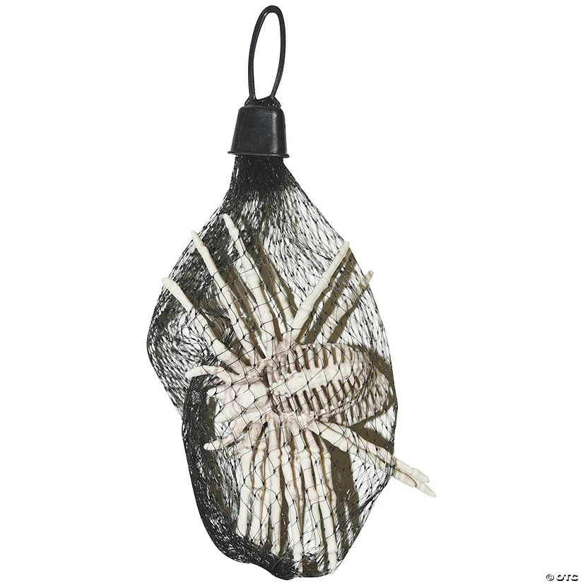 Bag Of Spiders 1 Bag Of Spiders