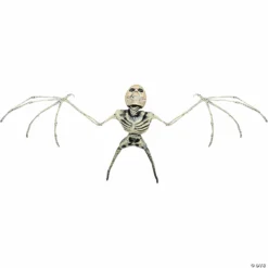 Bat Skeleton