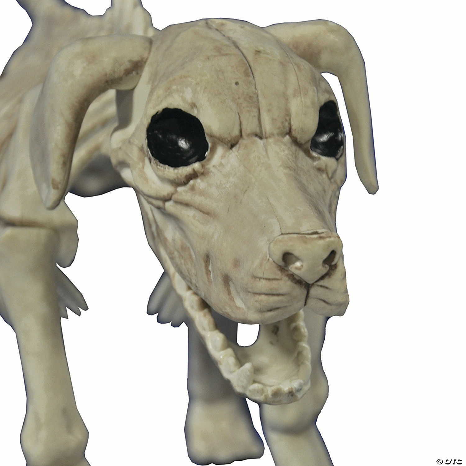 Beagle Bonez Dog Skeleton Halloween Decoration 2 Beagle Bonez Dog Skeleton Halloween Decoration - Image 2