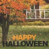 Black & Orange Happy Halloween Yard Signs