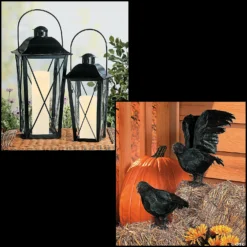 Black Lanterns & Crows Decorating Kit