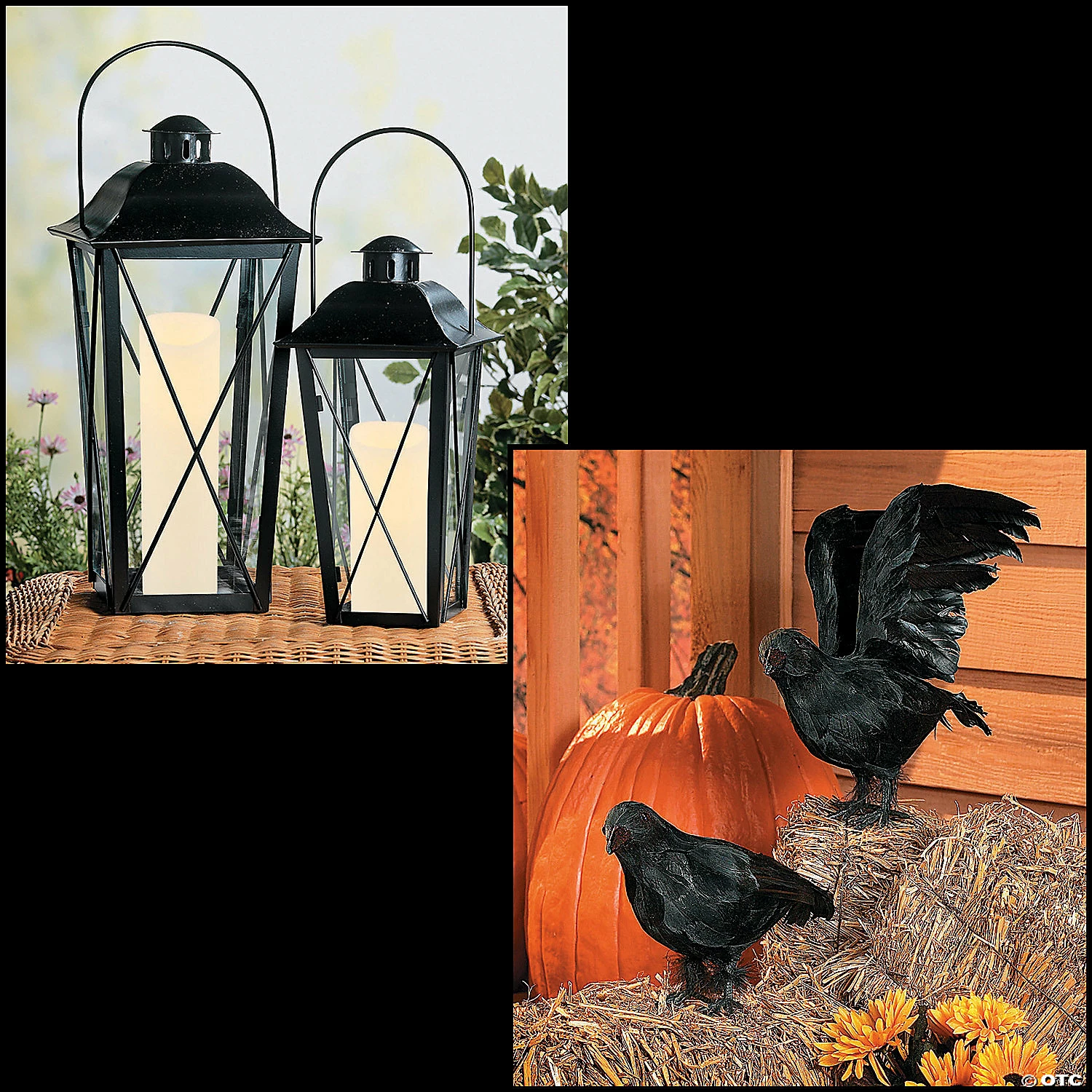 Black Lanterns & Crows Decorating Kit 1 Black Lanterns & Crows Decorating Kit