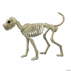Buster Bonez Dog Skeleton Halloween Decoration