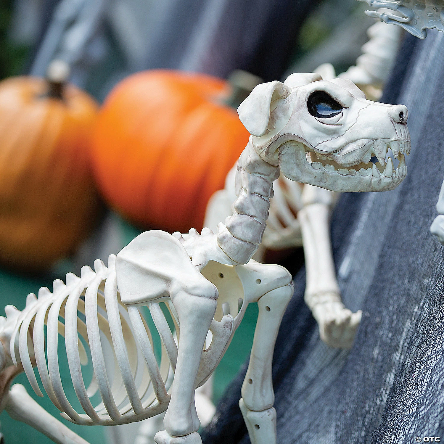 Buster Bonez Dog Skeleton Halloween Decoration 2 Buster Bonez Dog Skeleton Halloween Decoration - Image 2