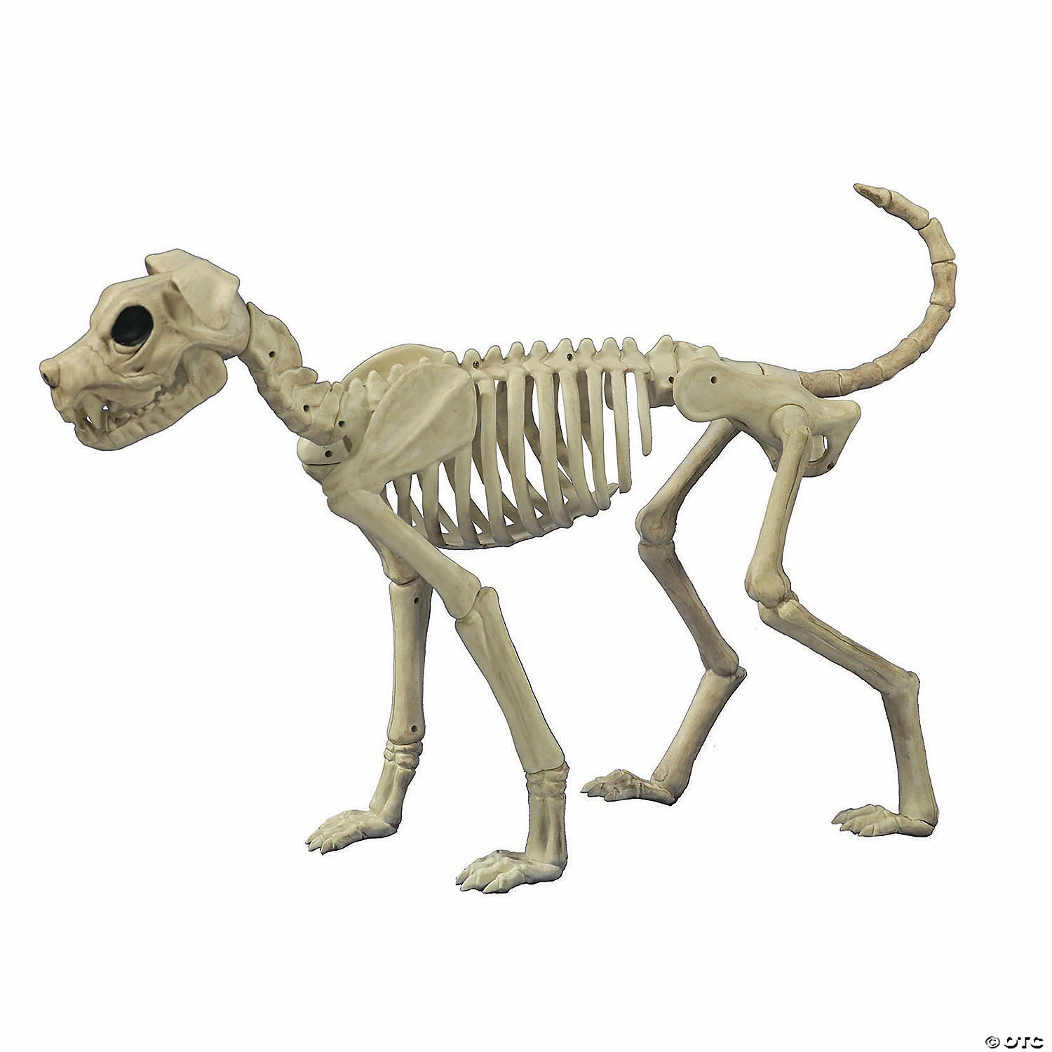 Buster Bonez Dog Skeleton Halloween Decoration 1 Buster Bonez Dog Skeleton Halloween Decoration