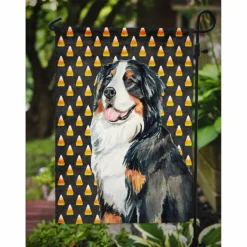 Caroline's Treasures, Halloween, Bernese Mountain Dog Candy Corn Halloween Portrait Flag Garden Size, 11.25 x 15.5, Dogs -Halloween Decorations Shop carolines treasures halloween bernese mountain dog candy corn halloween portrait flag garden size 11 25 x 15 5 dogs14147555 a02NOWA