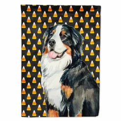 Caroline's Treasures, Halloween, Bernese Mountain Dog Candy Corn Halloween Portrait Flag Garden Size, 11.25 x 15.5, Dogs