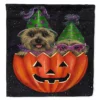 Caroline's Treasures, Halloween, Cairn Terrier Halloween PeekaBoo Flag Canvas House Size, 28 x 40, Dogs