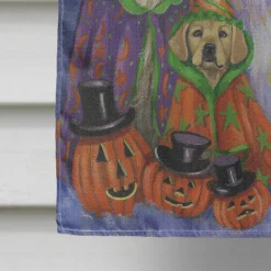 Caroline's Treasures, Halloween, Golden Retriever Halloween Flag Canvas House Size, 28 x 40, Dogs -Halloween Decorations Shop carolines treasures halloween golden retriever halloween flag canvas house size 28 x 40 dogs14195358 a03NOWA