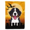 Caroline's Treasures, Halloween, Halloween Bernese Mountain Dog Flag Garden Size, 11.25 x 15.5, Dogs