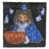 Caroline's Treasures, Halloween, Sheltie Halloween Witch Flag Canvas House Size, 28 x 40, Dogs