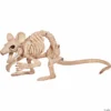 Creepy Crouching Mouse