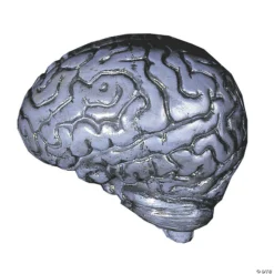 Grey Human Brain Halloween Decoration