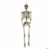 Life Size Posable Skeleton Halloween Decoration