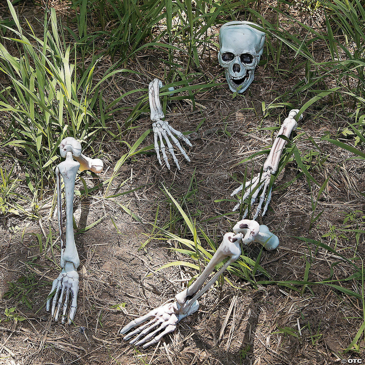 Life-Size Skeleton Yard Halloween Decoration 3 Life-Size Skeleton Yard Halloween Decoration - Image 3