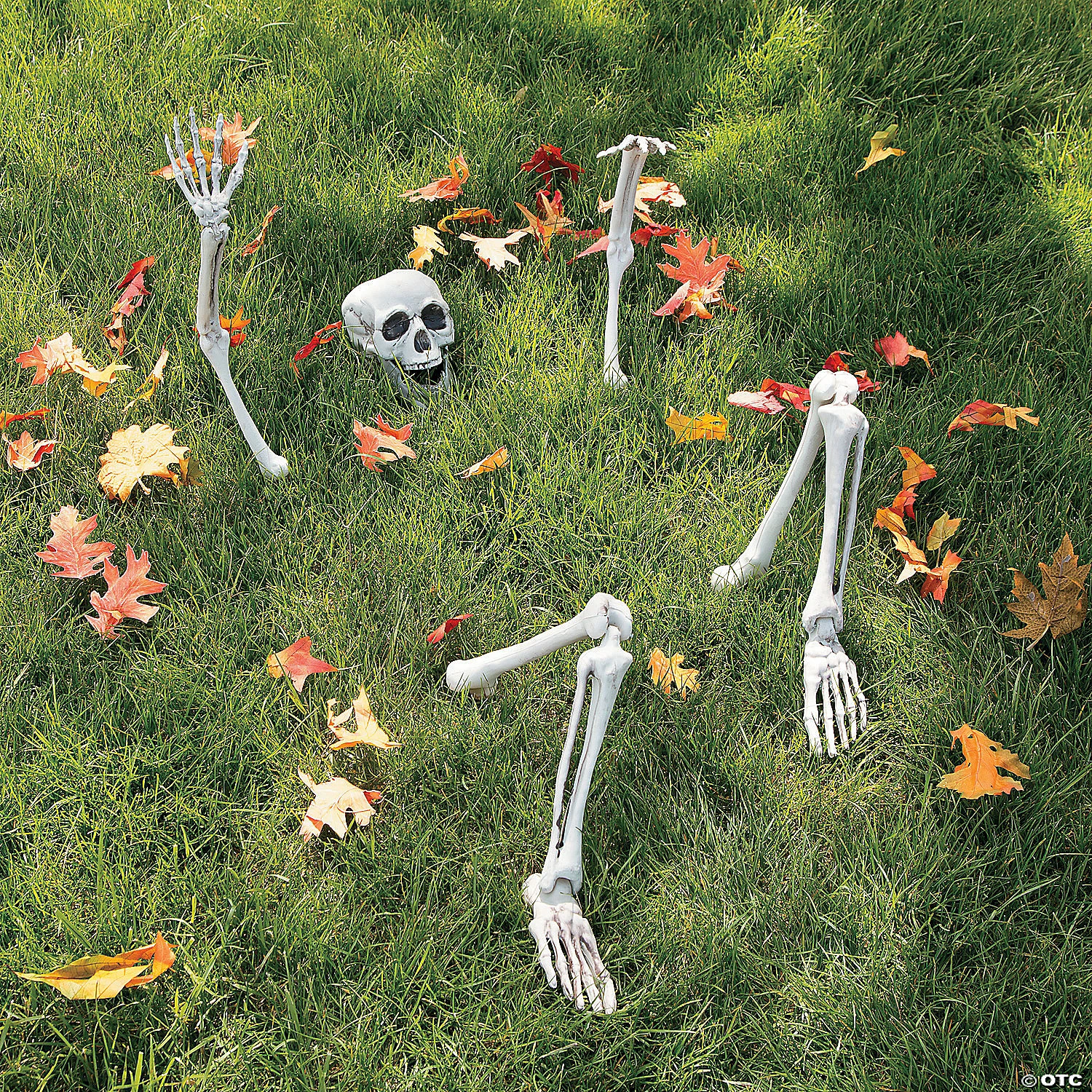 Life-Size Skeleton Yard Halloween Decoration 1 Life-Size Skeleton Yard Halloween Decoration