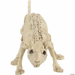 Mini Skeleton Rat Prop -Halloween Decorations Shop mini skeleton rat propsez28046 a02