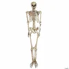 Northlight 5' Life Size Skeleton Halloween Decoration