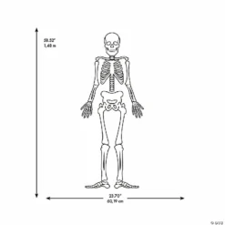 Roommates Skeleton Glow In The Dark Peel And Stick Giant Wall Decals -Halloween Decorations Shop roommates skeleton glow in the dark peel and stick giant wall decals13989364 a03