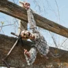 Severed Hanging Torso Halloween Decoration