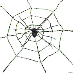 Spiderweb With Spider