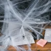 Stretchable Spider Webs Halloween Decorations - 12 Pc.