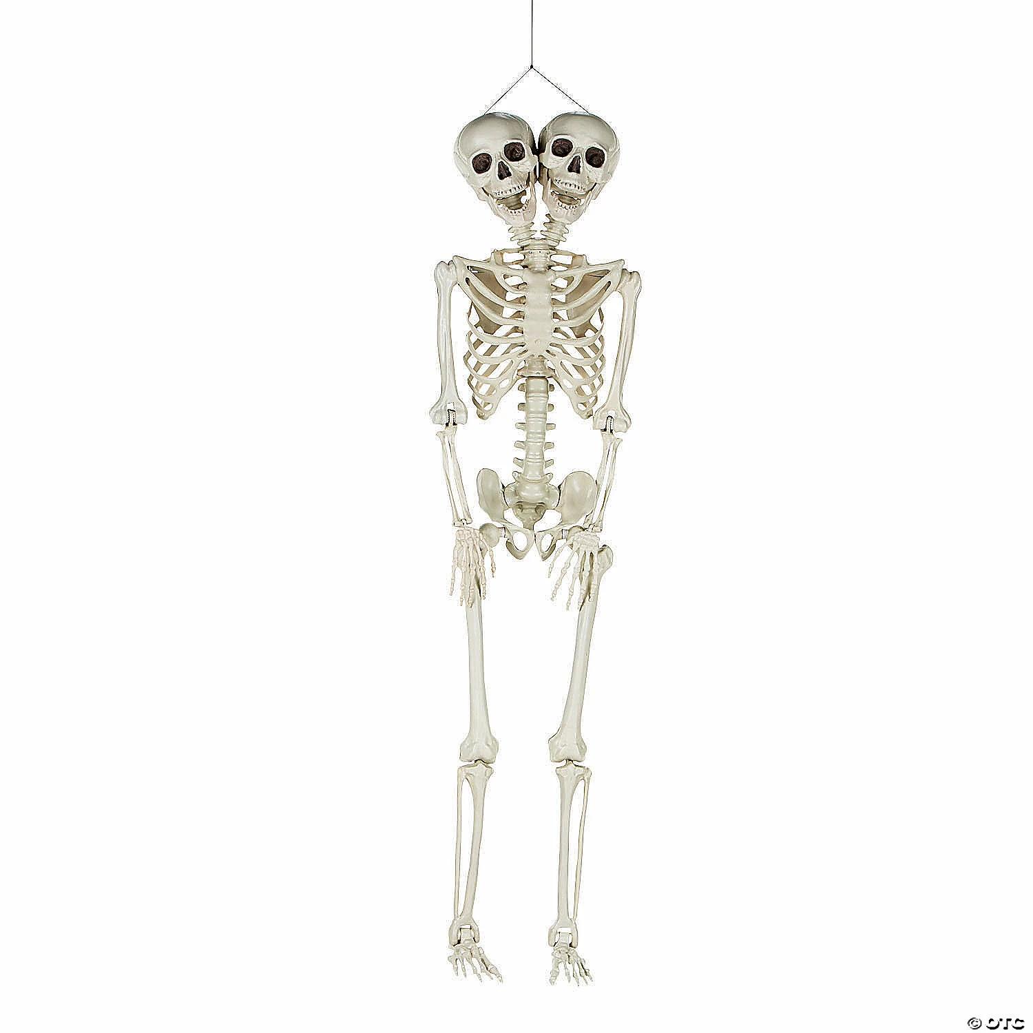 Two-Headed Life-Size Posable Skeleton Halloween Decoration 2 Two-Headed Life-Size Posable Skeleton Halloween Decoration - Image 2