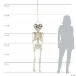 Two-Headed Life-Size Posable Skeleton Halloween Decoration 7 Two-Headed Life-Size Posable Skeleton Halloween Decoration -Halloween Decorations Shop two headed life size posable skeleton halloween decoration13846817 a02