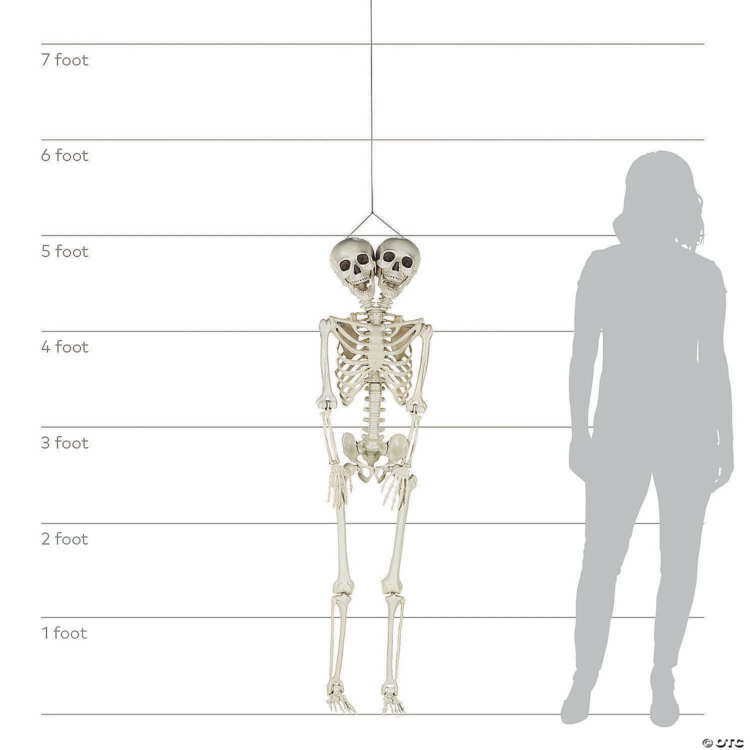 Two-Headed Life-Size Posable Skeleton Halloween Decoration 3 Two-Headed Life-Size Posable Skeleton Halloween Decoration - Image 3