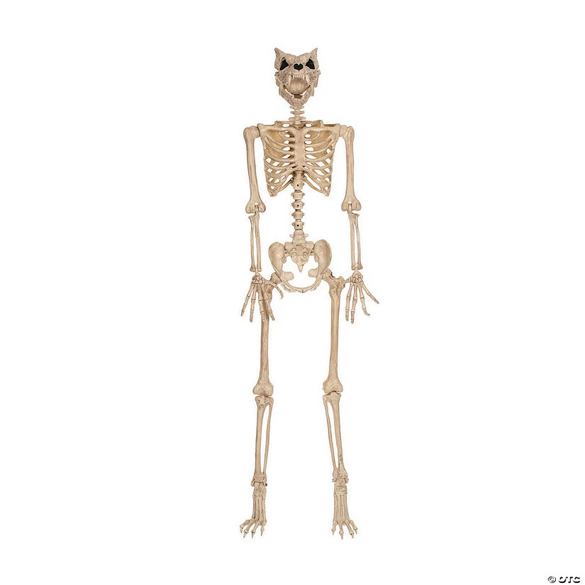 Werewolf Skeleton Halloween Decoration 1 Werewolf Skeleton Halloween Decoration